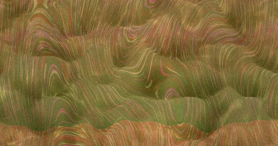 Alejandra gradient — earth tones, almost still